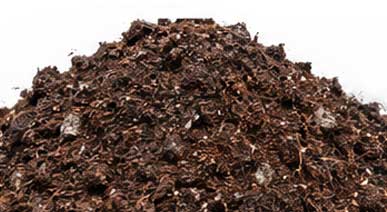Image of a pile of compostable wood.
