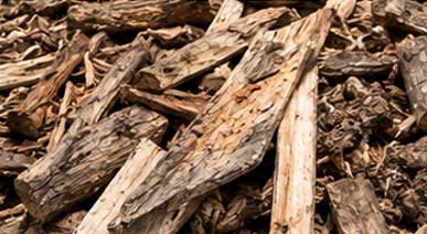 Oversize wood for further processing.
