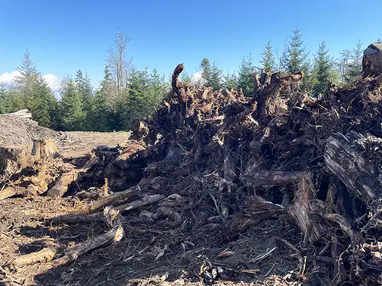tough wood waste ready forshredding for use on-site or to prepare for the next stage of processing. 
